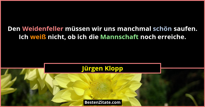 Den Weidenfeller müssen wir uns manchmal schön saufen. Ich weiß nicht, ob ich die Mannschaft noch erreiche.... - Jürgen Klopp