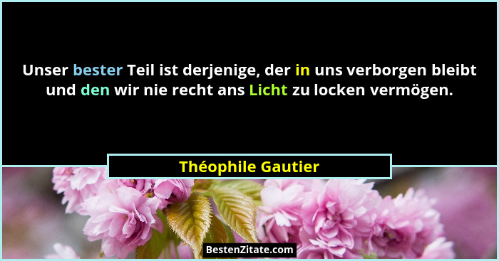 Unser bester Teil ist derjenige, der in uns verborgen bleibt und den wir nie recht ans Licht zu locken vermögen.... - Théophile Gautier