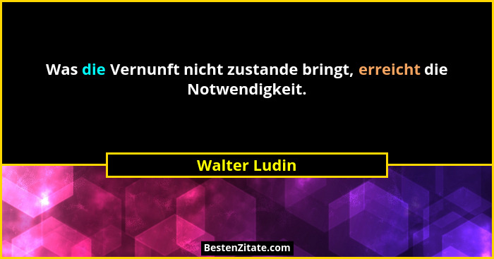 Was die Vernunft nicht zustande bringt, erreicht die Notwendigkeit.... - Walter Ludin