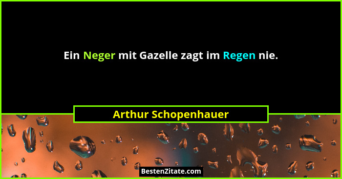 Ein Neger mit Gazelle zagt im Regen nie.... - Arthur Schopenhauer