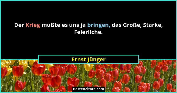 Der Krieg mußte es uns ja bringen, das Große, Starke, Feierliche.... - Ernst Jünger