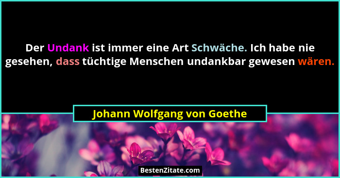 Der Undank ist immer eine Art Schwäche. Ich habe nie gesehen, dass tüchtige Menschen undankbar gewesen wären.... - Johann Wolfgang von Goethe