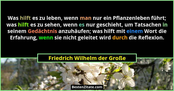 Was hilft es zu leben, wenn man nur ein Pflanzenleben führt; was hilft es zu sehen, wenn es nur geschieht, um Tatsachen... - Friedrich Wilhelm der Große