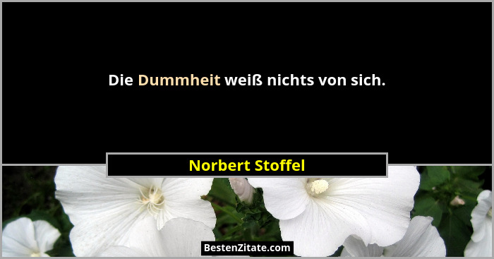 Die Dummheit weiß nichts von sich.... - Norbert Stoffel