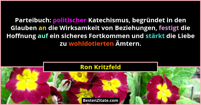 Parteibuch: politischer Katechismus, begründet in den Glauben an die Wirksamkeit von Beziehungen, festigt die Hoffnung auf ein sichere... - Ron Kritzfeld