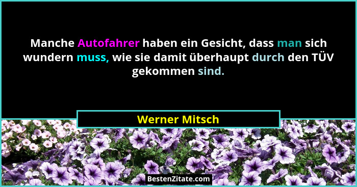Manche Autofahrer haben ein Gesicht, dass man sich wundern muss, wie sie damit überhaupt durch den TÜV gekommen sind.... - Werner Mitsch