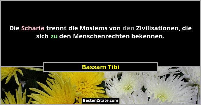 Die Scharia trennt die Moslems von den Zivilisationen, die sich zu den Menschenrechten bekennen.... - Bassam Tibi