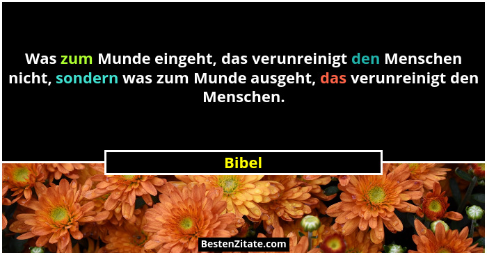 Was zum Munde eingeht, das verunreinigt den Menschen nicht, sondern was zum Munde ausgeht, das verunreinigt den Menschen.... - Bibel