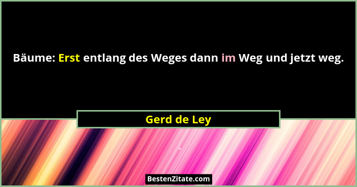 Bäume: Erst entlang des Weges dann im Weg und jetzt weg.... - Gerd de Ley