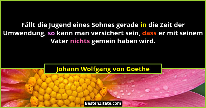 Fällt die Jugend eines Sohnes gerade in die Zeit der Umwendung, so kann man versichert sein, dass er mit seinem Vater nic... - Johann Wolfgang von Goethe