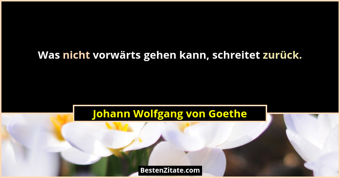 Was nicht vorwärts gehen kann, schreitet zurück.... - Johann Wolfgang von Goethe