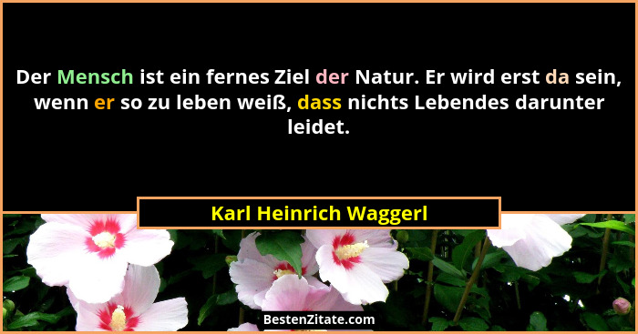 Der Mensch ist ein fernes Ziel der Natur. Er wird erst da sein, wenn er so zu leben weiß, dass nichts Lebendes darunter leidet... - Karl Heinrich Waggerl