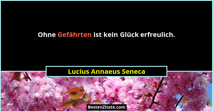 Ohne Gefährten ist kein Glück erfreulich.... - Lucius Annaeus Seneca
