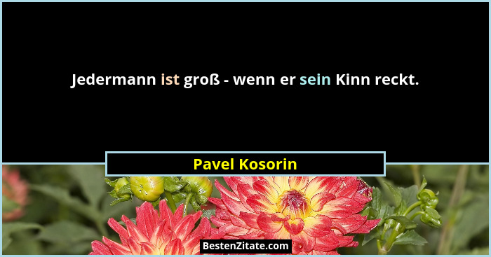 Jedermann ist groß - wenn er sein Kinn reckt.... - Pavel Kosorin