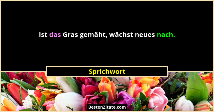 Ist das Gras gemäht, wächst neues nach.... - Sprichwort