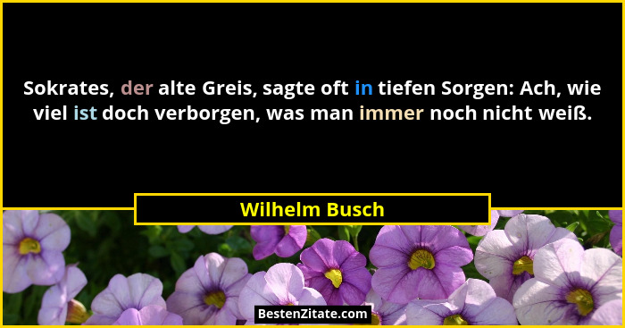 Sokrates, der alte Greis, sagte oft in tiefen Sorgen: Ach, wie viel ist doch verborgen, was man immer noch nicht weiß.... - Wilhelm Busch