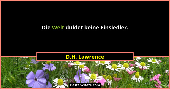 Die Welt duldet keine Einsiedler.... - D.H. Lawrence