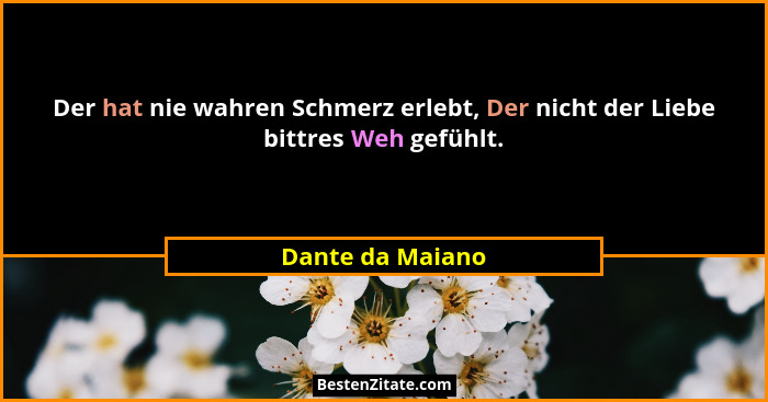 Der hat nie wahren Schmerz erlebt, Der nicht der Liebe bittres Weh gefühlt.... - Dante da Maiano