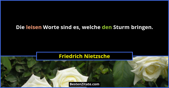 Die leisen Worte sind es, welche den Sturm bringen.... - Friedrich Nietzsche