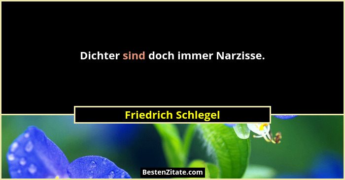 Dichter sind doch immer Narzisse.... - Friedrich Schlegel
