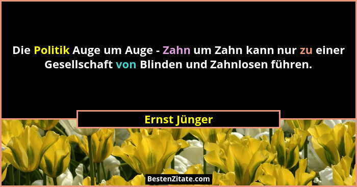 Die Politik Auge um Auge - Zahn um Zahn kann nur zu einer Gesellschaft von Blinden und Zahnlosen führen.... - Ernst Jünger