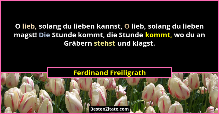 O lieb, solang du lieben kannst, O lieb, solang du lieben magst! Die Stunde kommt, die Stunde kommt, wo du an Gräbern stehst u... - Ferdinand Freiligrath