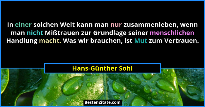 In einer solchen Welt kann man nur zusammenleben, wenn man nicht Mißtrauen zur Grundlage seiner menschlichen Handlung macht. Was w... - Hans-Günther Sohl