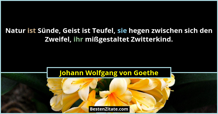Natur ist Sünde, Geist ist Teufel, sie hegen zwischen sich den Zweifel, ihr mißgestaltet Zwitterkind.... - Johann Wolfgang von Goethe