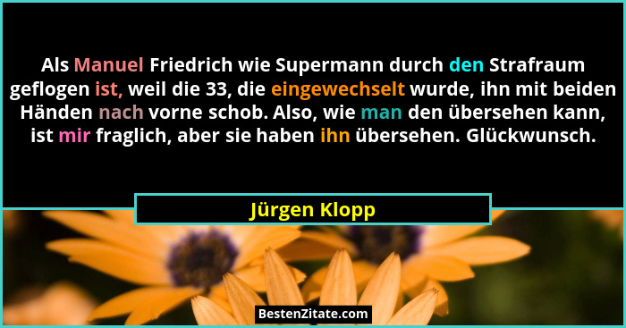 Als Manuel Friedrich wie Supermann durch den Strafraum geflogen ist, weil die 33, die eingewechselt wurde, ihn mit beiden Händen nach v... - Jürgen Klopp