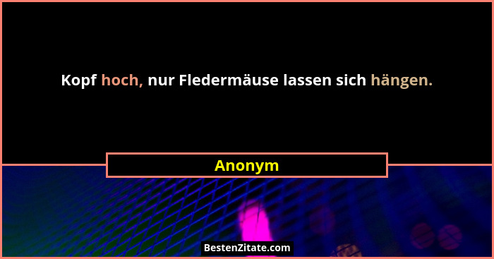 Kopf hoch, nur Fledermäuse lassen sich hängen.... - Anonym