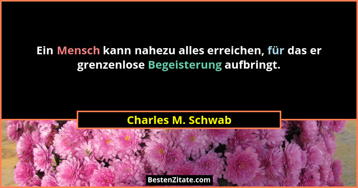 Ein Mensch kann nahezu alles erreichen, für das er grenzenlose Begeisterung aufbringt.... - Charles M. Schwab