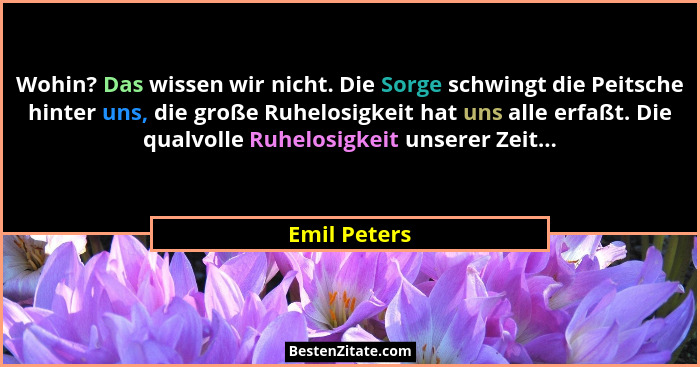 Wohin? Das wissen wir nicht. Die Sorge schwingt die Peitsche hinter uns, die große Ruhelosigkeit hat uns alle erfaßt. Die qualvolle Ruhe... - Emil Peters