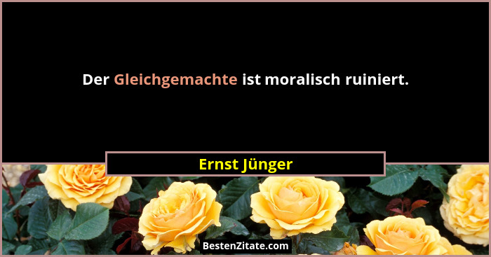 Der Gleichgemachte ist moralisch ruiniert.... - Ernst Jünger