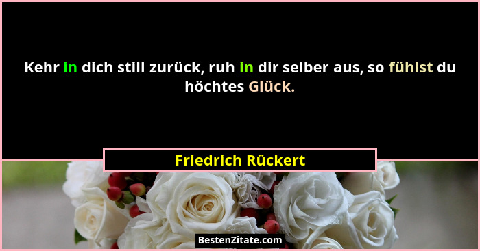 Kehr in dich still zurück, ruh in dir selber aus, so fühlst du höchtes Glück.... - Friedrich Rückert