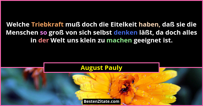 Welche Triebkraft muß doch die Eitelkeit haben, daß sie die Menschen so groß von sich selbst denken läßt, da doch alles in der Welt uns... - August Pauly