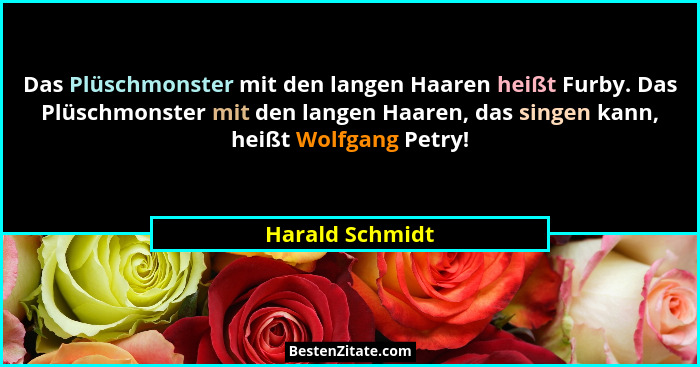 Das Plüschmonster mit den langen Haaren heißt Furby. Das Plüschmonster mit den langen Haaren, das singen kann, heißt Wolfgang Petry!... - Harald Schmidt
