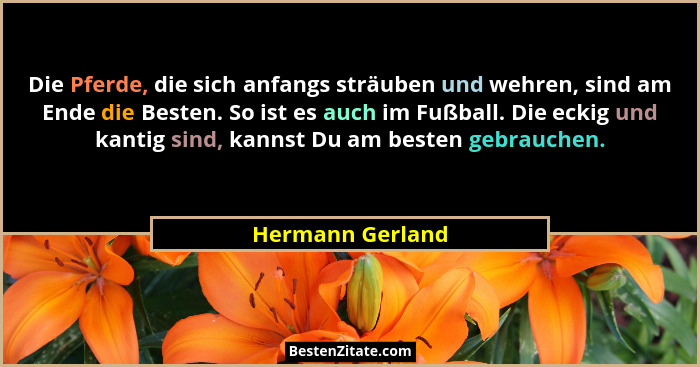 Die Pferde, die sich anfangs sträuben und wehren, sind am Ende die Besten. So ist es auch im Fußball. Die eckig und kantig sind, kan... - Hermann Gerland