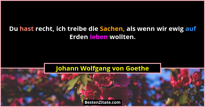 Du hast recht, ich treibe die Sachen, als wenn wir ewig auf Erden leben wollten.... - Johann Wolfgang von Goethe