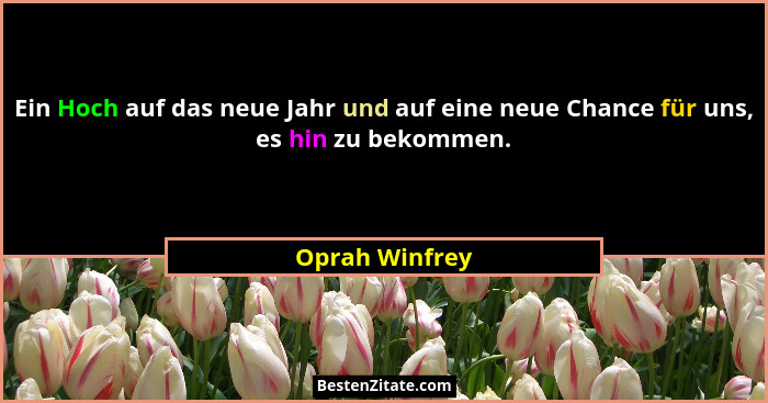 Ein Hoch auf das neue Jahr und auf eine neue Chance für uns, es hin zu bekommen.... - Oprah Winfrey