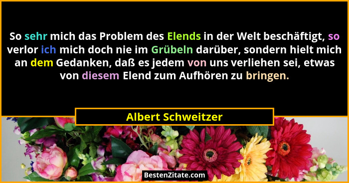 So sehr mich das Problem des Elends in der Welt beschäftigt, so verlor ich mich doch nie im Grübeln darüber, sondern hielt mich an... - Albert Schweitzer