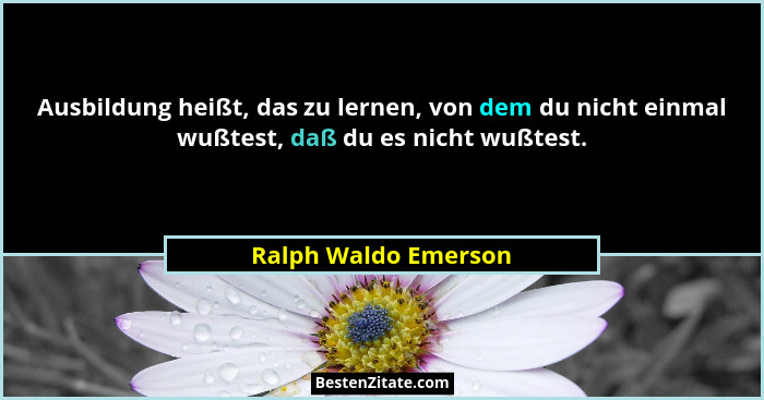 Ausbildung heißt, das zu lernen, von dem du nicht einmal wußtest, daß du es nicht wußtest.... - Ralph Waldo Emerson