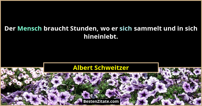 Der Mensch braucht Stunden, wo er sich sammelt und in sich hineinlebt.... - Albert Schweitzer