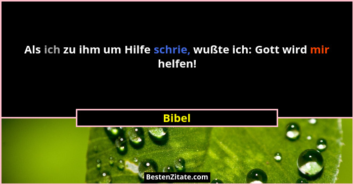 Als ich zu ihm um Hilfe schrie, wußte ich: Gott wird mir helfen!... - Bibel