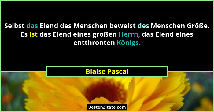Selbst das Elend des Menschen beweist des Menschen Größe. Es ist das Elend eines großen Herrn, das Elend eines entthronten Königs.... - Blaise Pascal