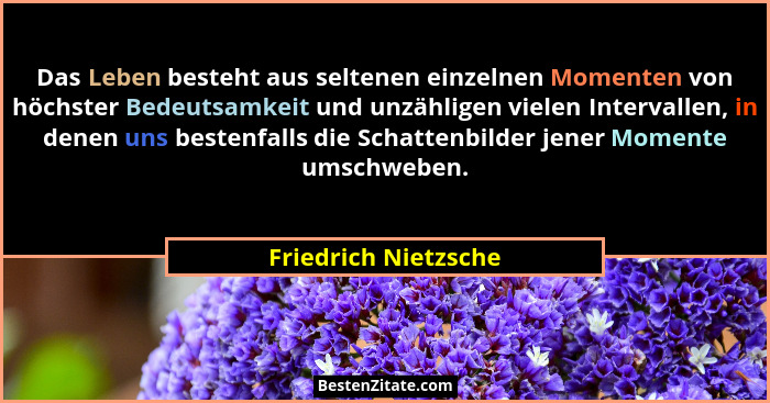 Das Leben besteht aus seltenen einzelnen Momenten von höchster Bedeutsamkeit und unzähligen vielen Intervallen, in denen uns bes... - Friedrich Nietzsche