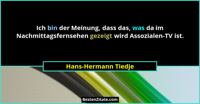 Ich bin der Meinung, dass das, was da im Nachmittagsfernsehen gezeigt wird Assozialen-TV ist.... - Hans-Hermann Tiedje
