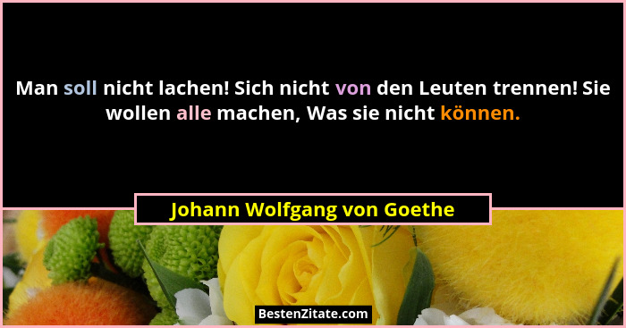 Man soll nicht lachen! Sich nicht von den Leuten trennen! Sie wollen alle machen, Was sie nicht können.... - Johann Wolfgang von Goethe