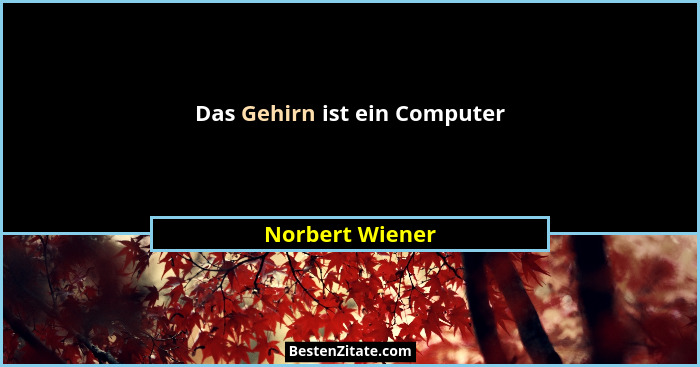 Das Gehirn ist ein Computer... - Norbert Wiener