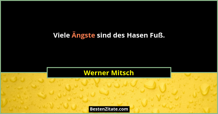 Viele Ängste sind des Hasen Fuß.... - Werner Mitsch