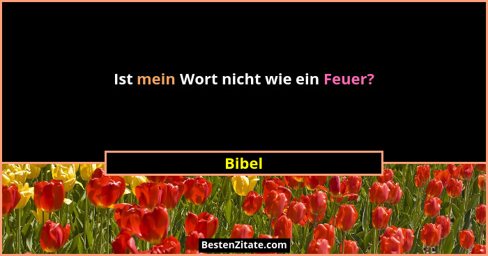 Ist mein Wort nicht wie ein Feuer?... - Bibel